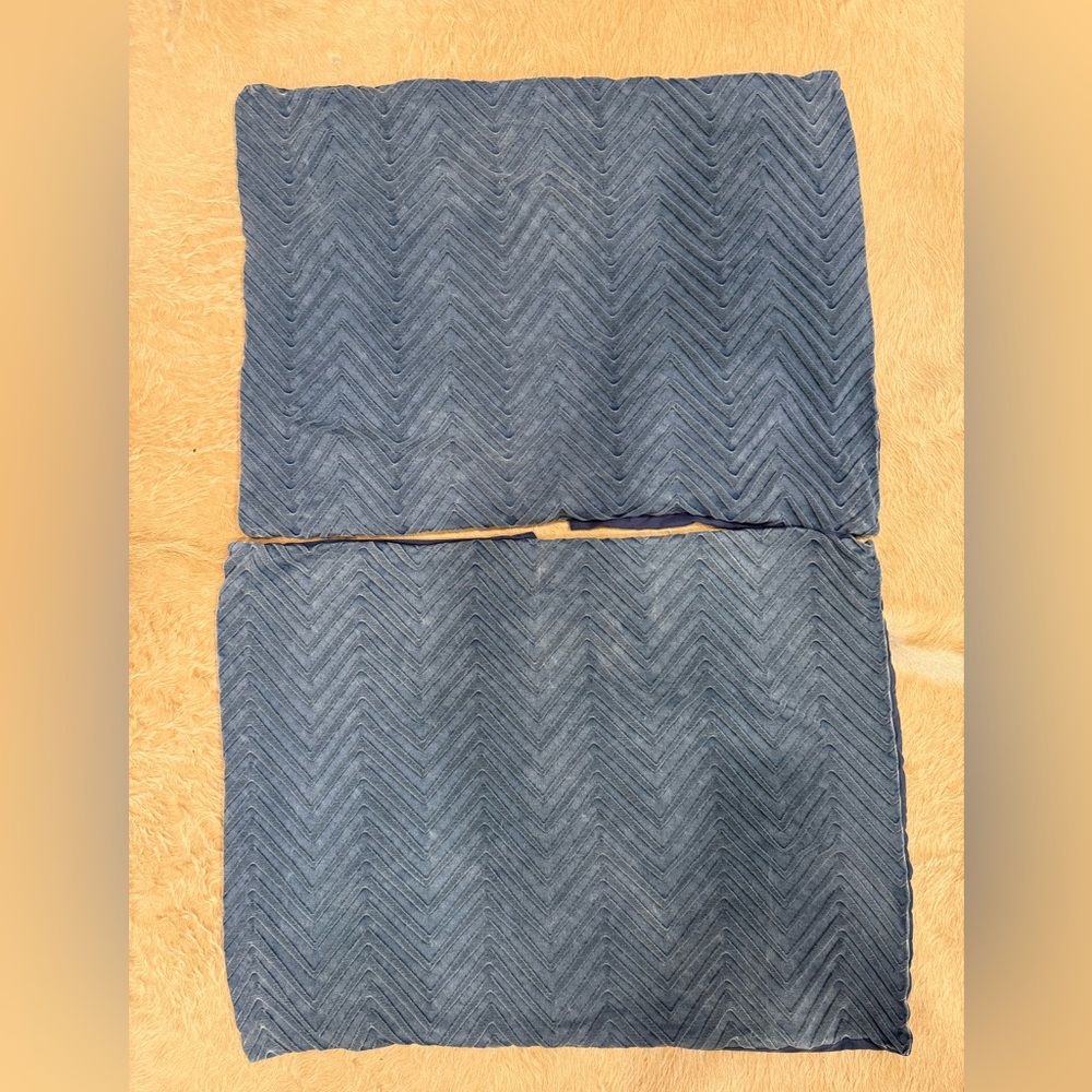 Pottery Barn Teen Chevron patterned pillow shams in blue